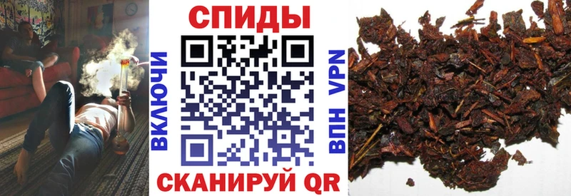 hydra зеркало  Железногорск  Бутират буратино 