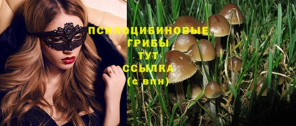 СК Горняк