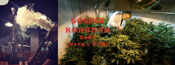 СК Горняк
