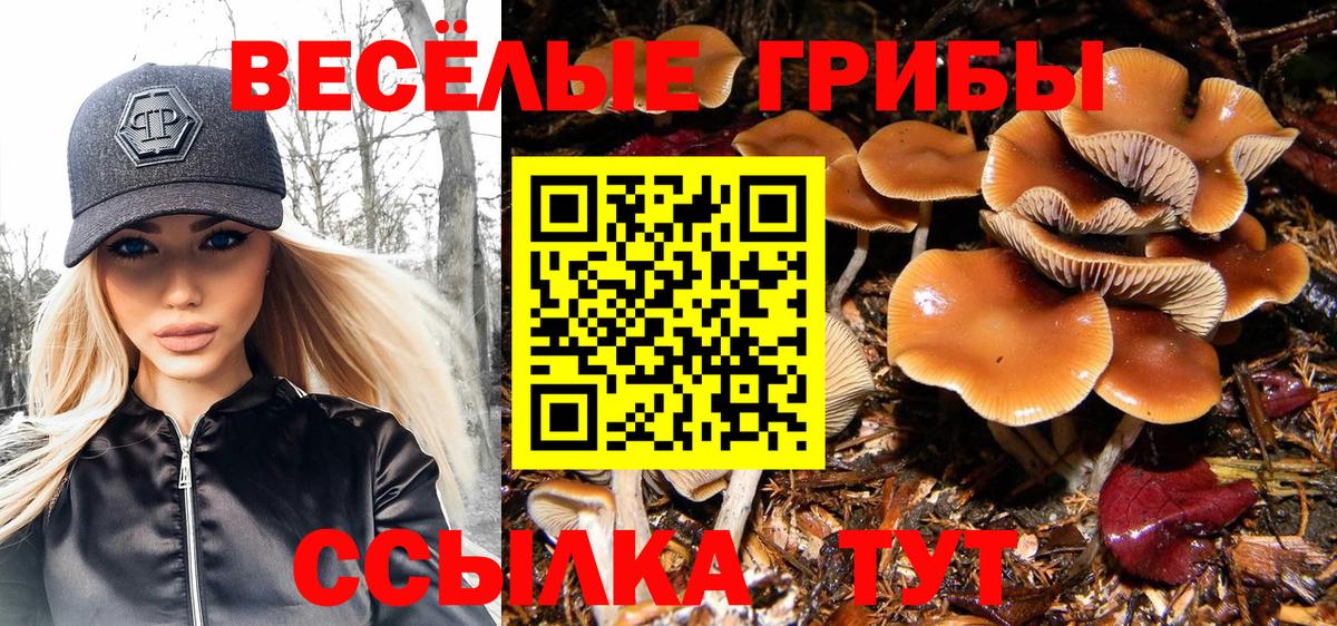 Галлюциногенные грибы прущие грибы Железногорск